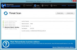 Malwarebytes Results