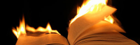 Many Ways To Burn A Book