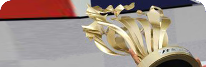 The Awful Trophy : The Hungarian Grand Prix 2012