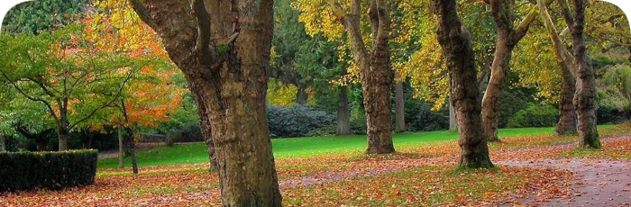 Meetings in the park