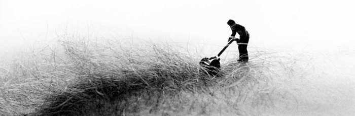 Tending The Lady Garden