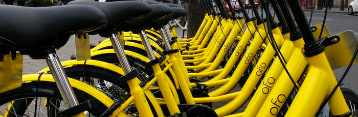 Ofo – Good idea, bad experience