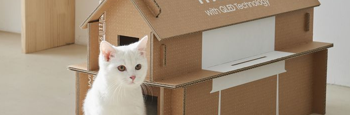 Building Cat Houses