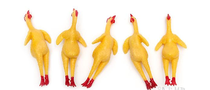 A Pocket Full Of Rubber Chickens